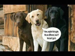 dogs and differences Positive WoRds
